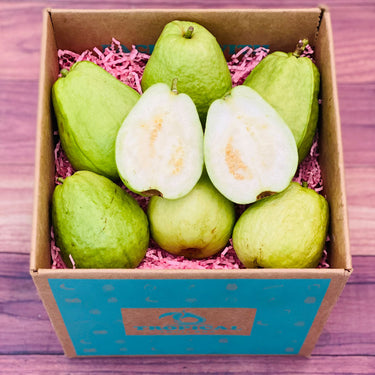 China White Guava Fruit BoxMedium (5 Pounds)